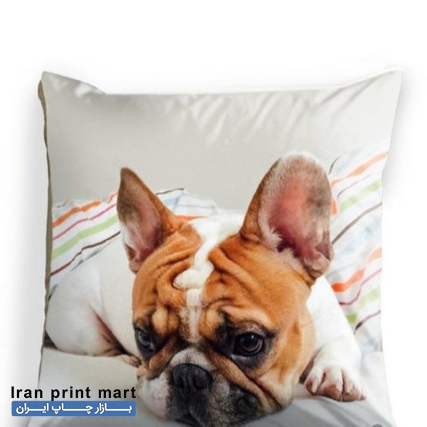 استخدام همکار خانم جهت کار چاپ