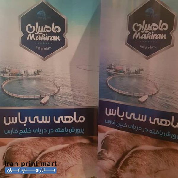 استند رول آپ