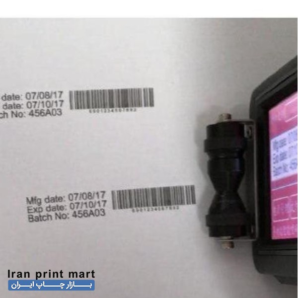 تاریخ زن و لوگوزن