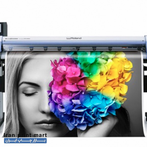 دستکاه چاپ وبرش همزمان رولند