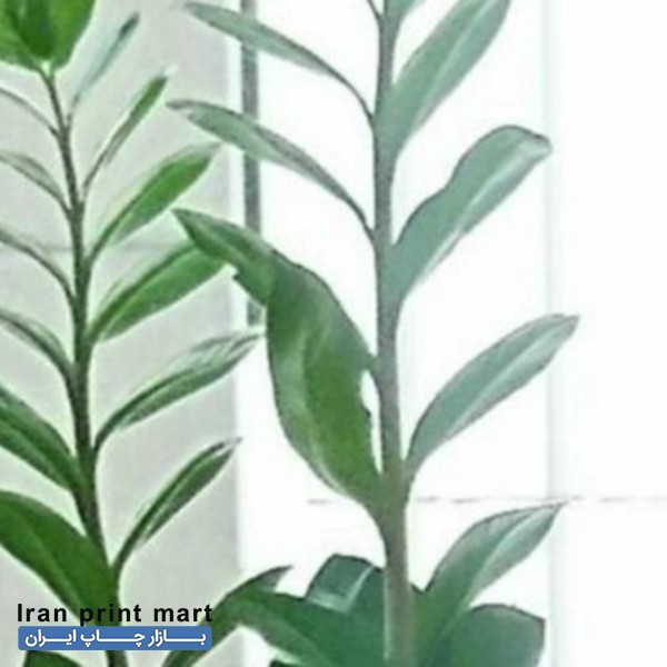 خدمات مترجم و ویراستار حرفه‌ای مقالات علمی تهران