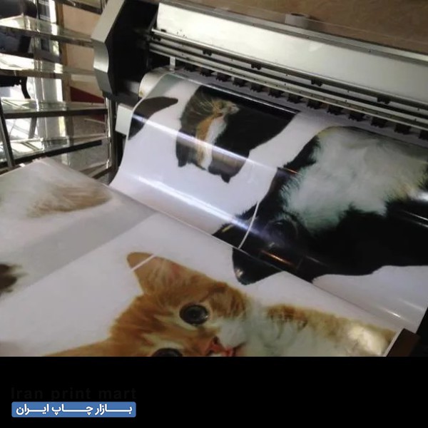 دستگاه اکوسالونت چاپ