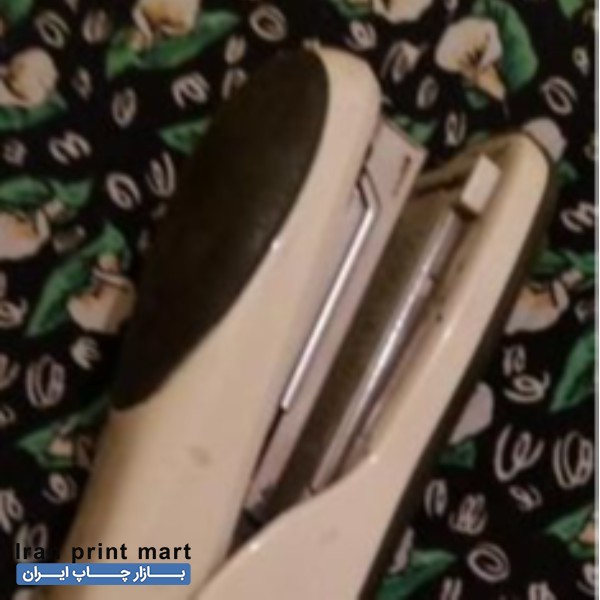 فروش میخکوب سایز بزرگ تبریز