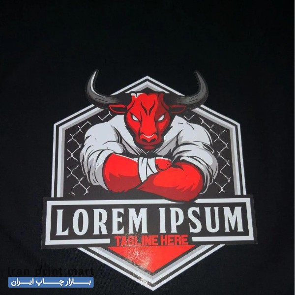 استخدام شابلون زن فنی تهران