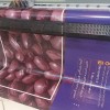 دستگاه بنر کونیکا 4 هد 512 تهران