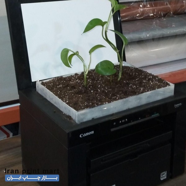 شارژ کارتریج سرویس و تعمیرات چاپگر پرینتر فتوکپی