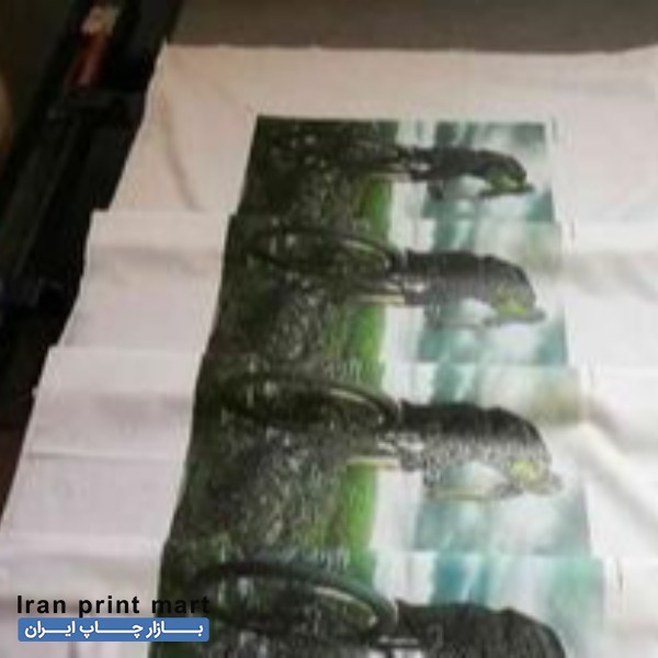 کارگر اشنا با چاپ سیلک و تریکو