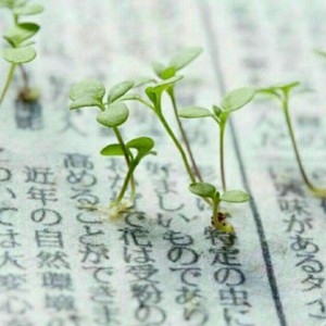 ژاپن یک کشور روزنامه ای