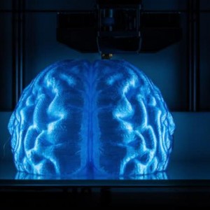 تهیه مدل کاملا دقیق سه بعدی از مغز انسان