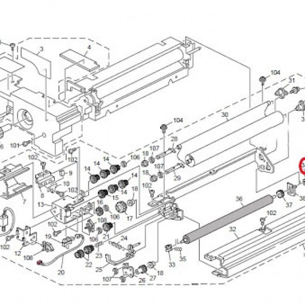 بوش وب کوچک ریکو1