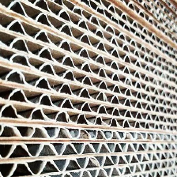 خدمات کارتن سازی مشهد