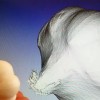 اسکنر سه بعدی صنعتی