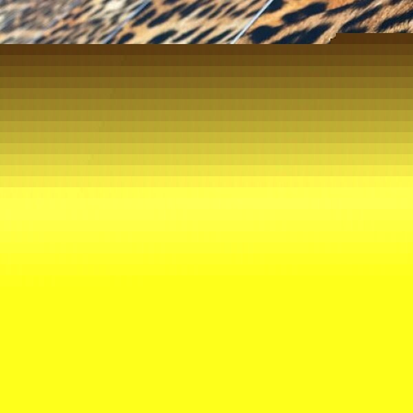 خدمات چاپ پارچه سابلیمیشن تهران