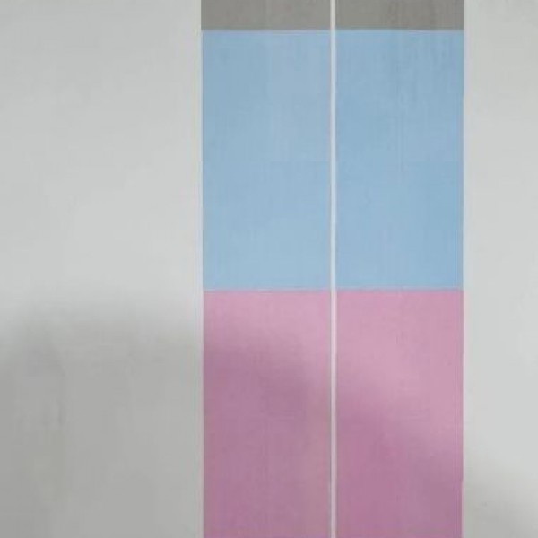 دستگاه اکوسالونت عرض 180 تهران