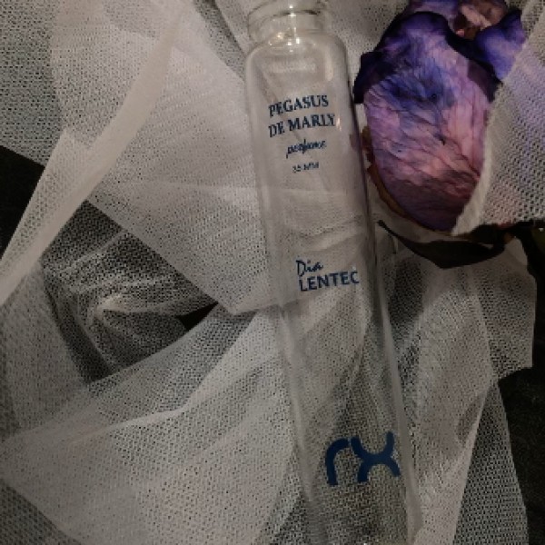 چاپ رامش ارائه دهنده خدمات چاپ سیلک تامپو ترنسفر میباشد با بالاترین کیفیت و نازل ترین قیمت