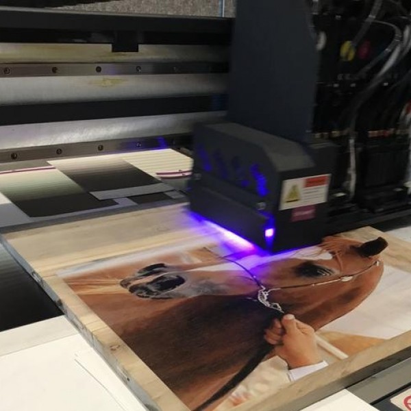 فروش دستگاه فلت بد