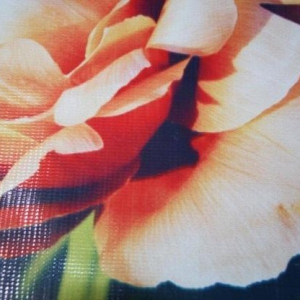 فروش دستگاه چاپ بنر تروی جت