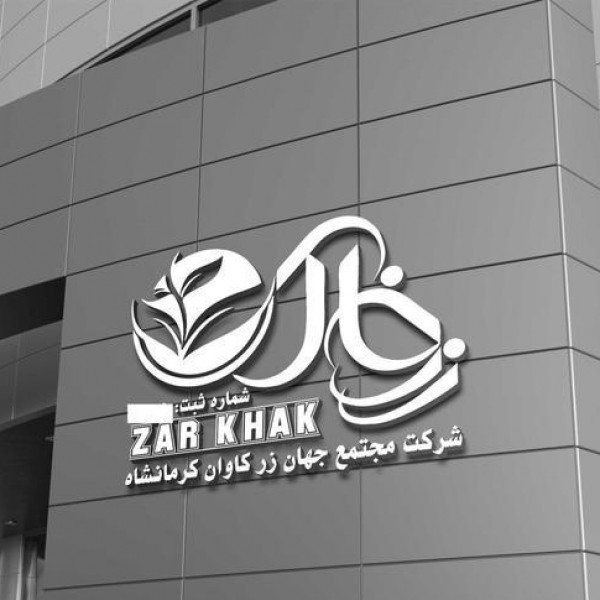 طراحی لوگو، کارت ویزیت،...