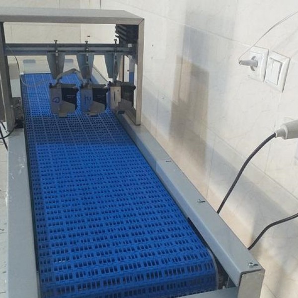 فروش دستگاه تاریخ زن جت پرینتر تخم مرغ کرج