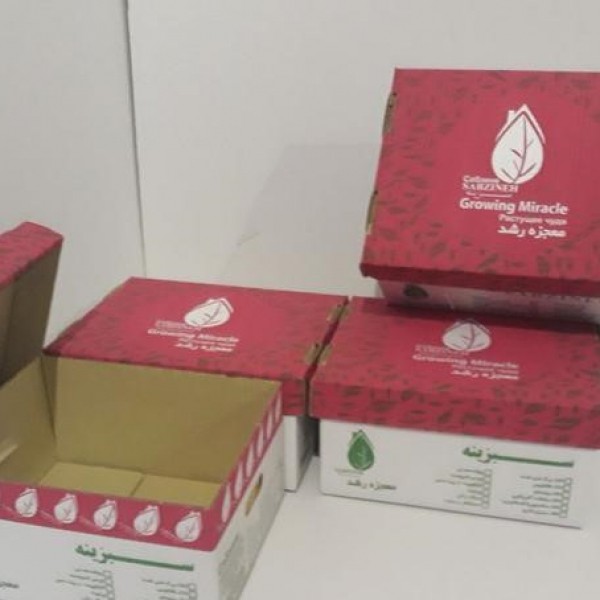 کارتن سازی و جعبه سازی میرزائی تهران