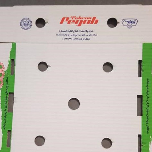 کارتن سازی ایرانیان تهران